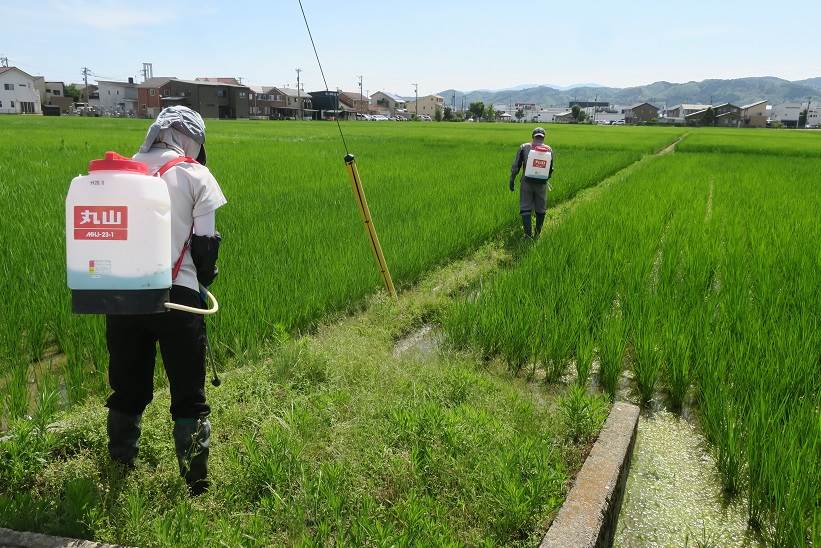 除草剤