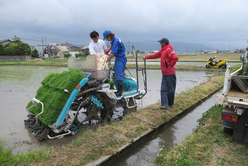 カグラモチ