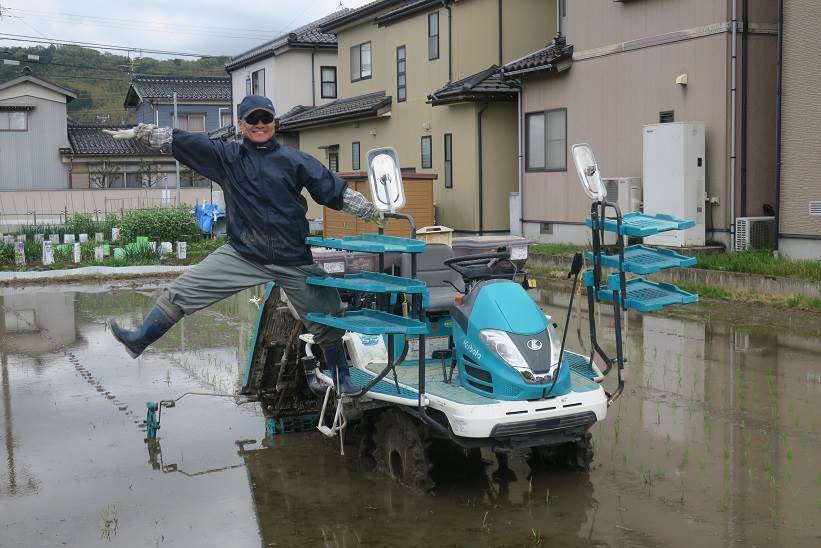 田植え