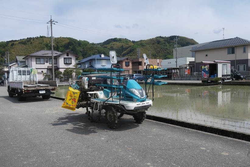 田植え