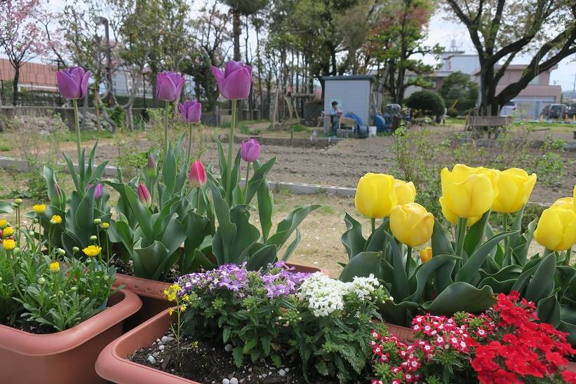 扇が丘幼稚園