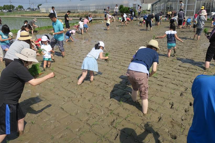 白銀幼稚園