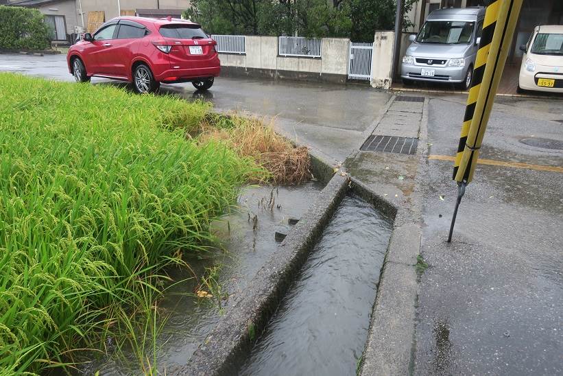 台風５号