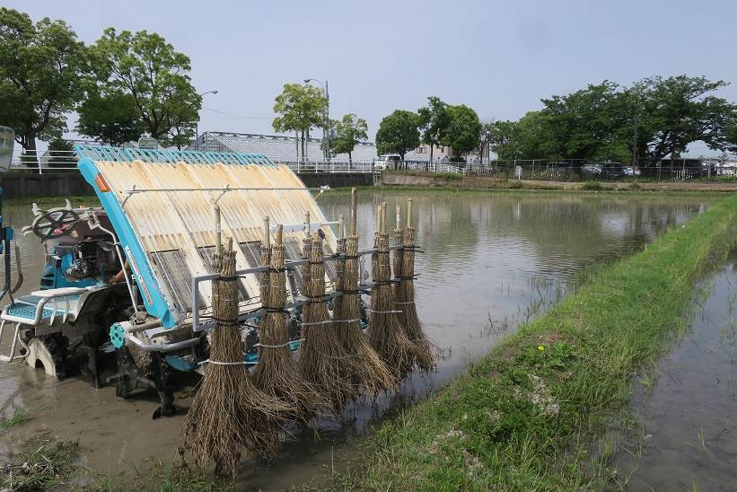 竹ぼうき除草機