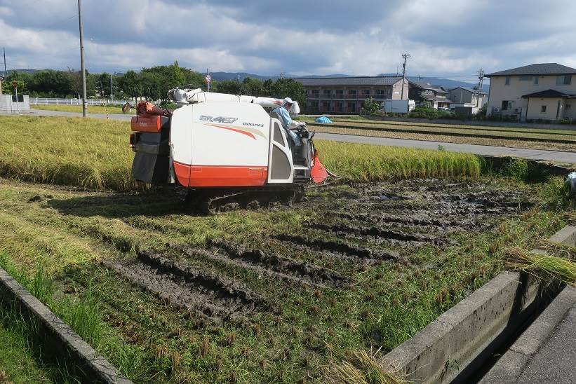 白山町