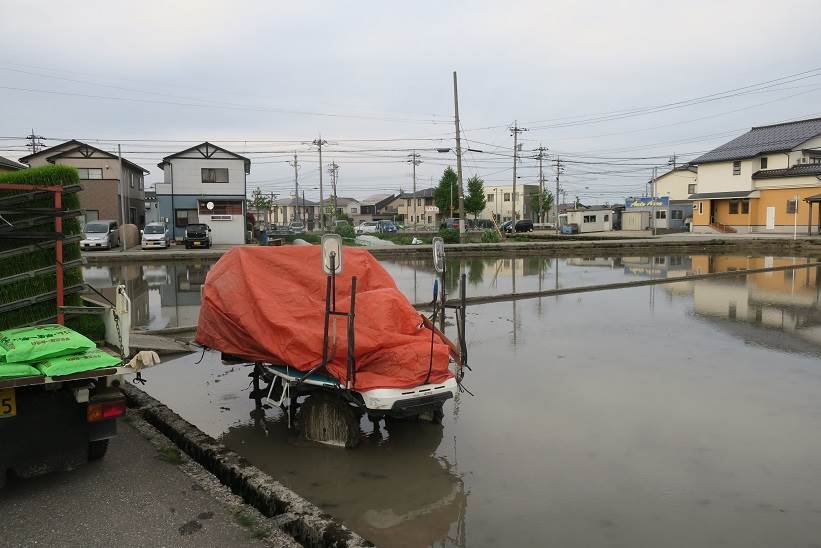 田植え