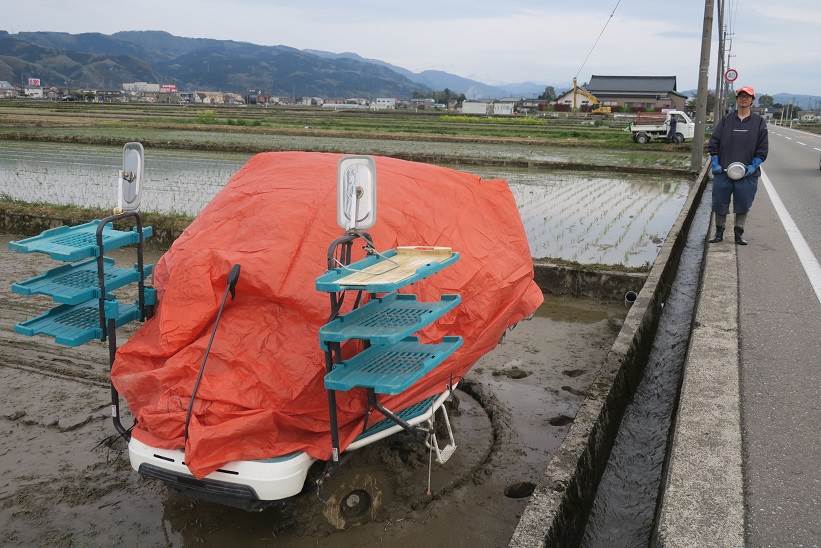 田植え