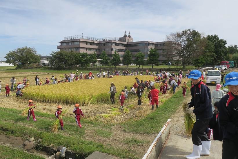 とくの幼稚園