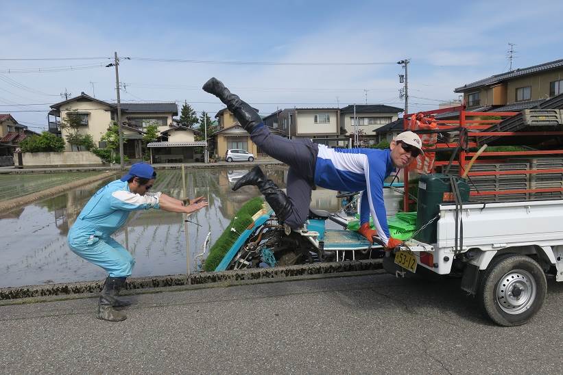 田植え