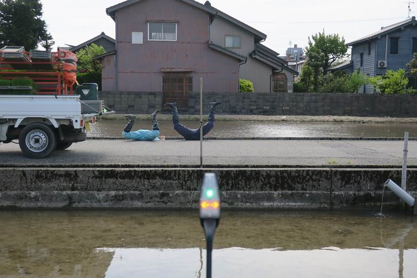 田植え