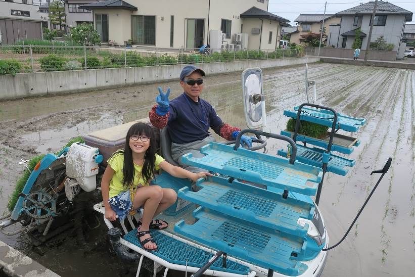 田植え