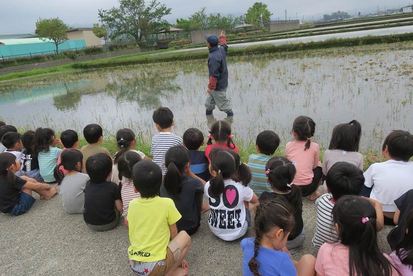 藤蔭幼稚園