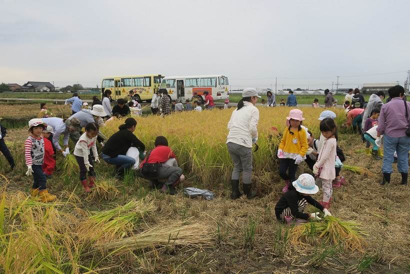 藤蔭幼稚園