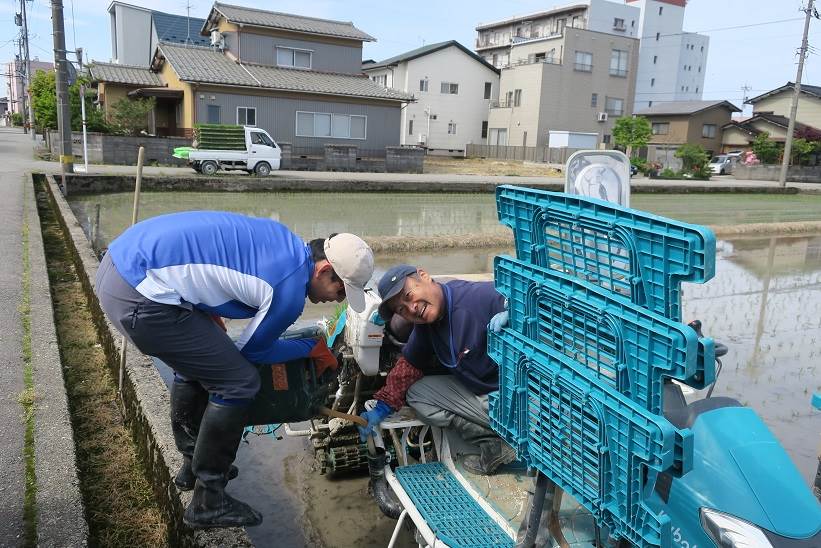 ハナエチゼン