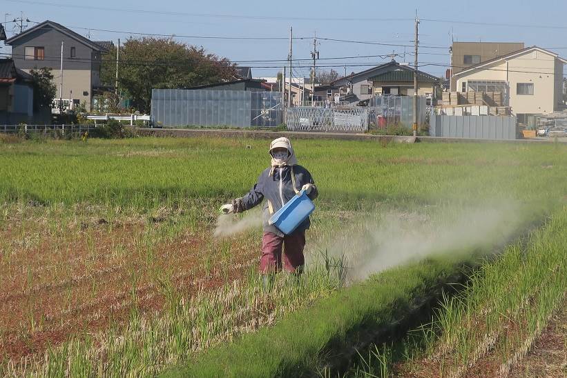 アイデンカルス