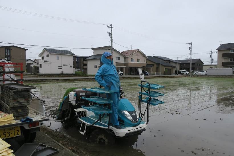 普通にミルキークィーン