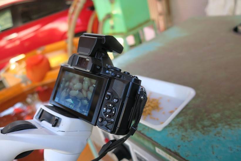 OM-D