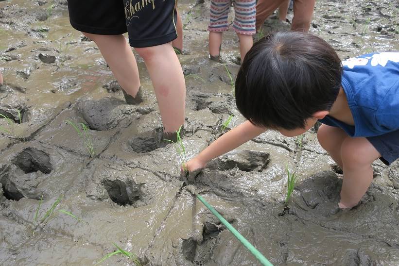 扇が丘幼稚園