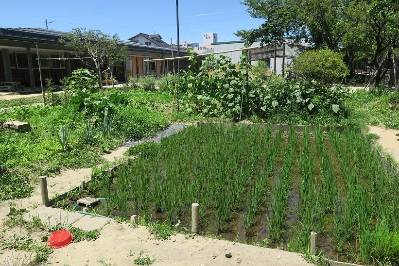 扇が丘幼稚園