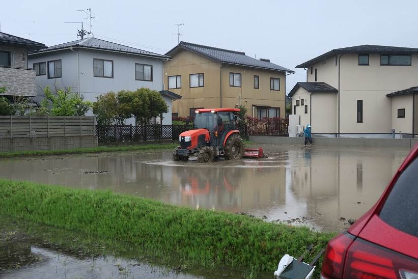 代掻き