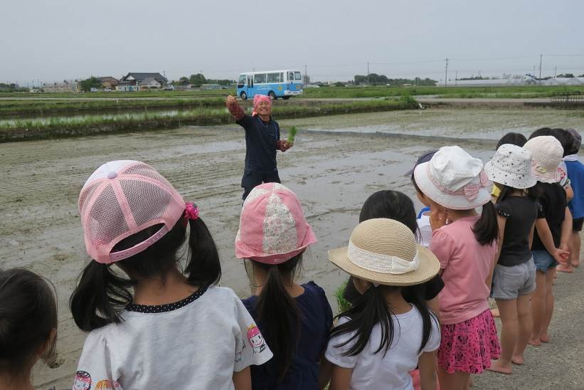 白銀幼稚園