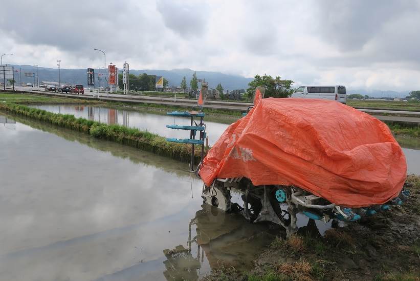 田植え