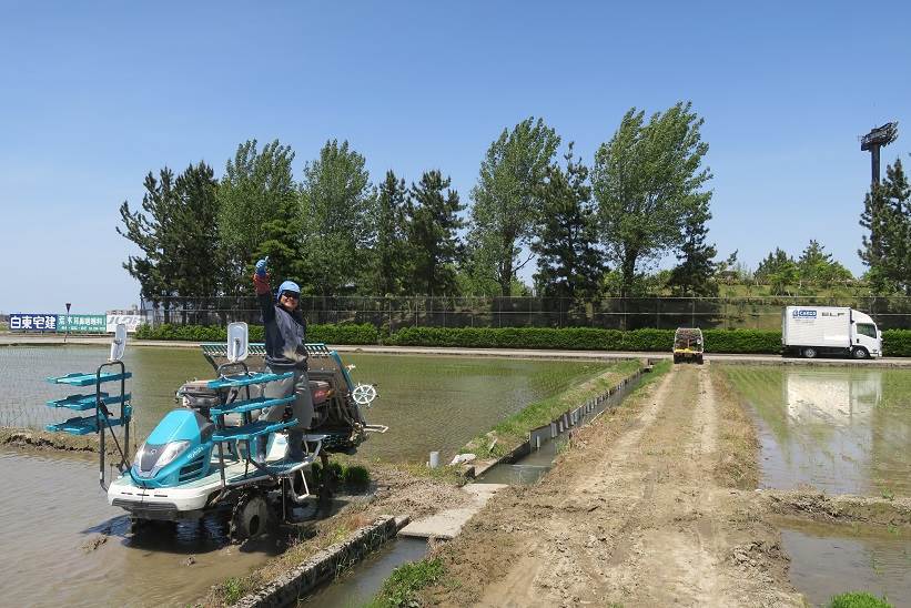 田植え