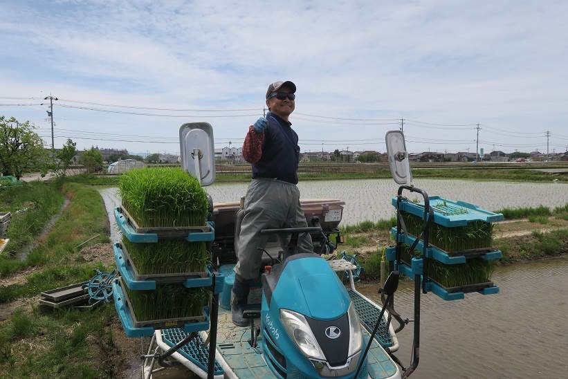 田植え