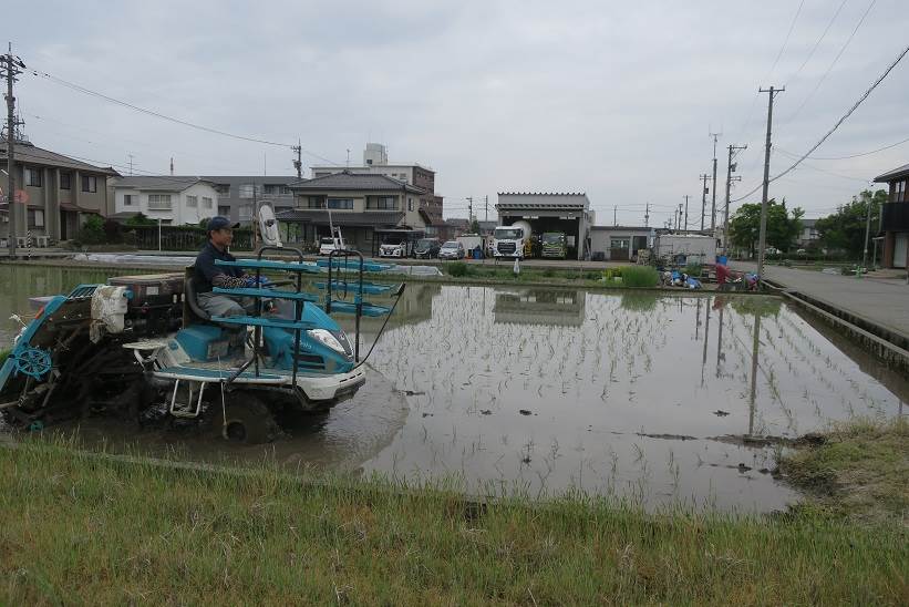 野々市