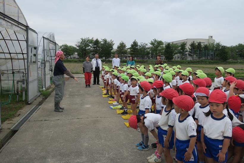 とくの幼稚園と津幡とくの幼稚園