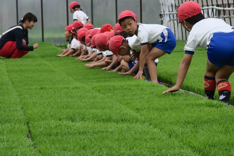 とくの幼稚園と津幡とくの幼稚園