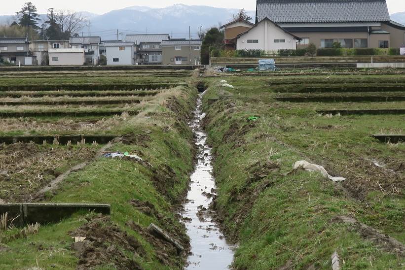 用水