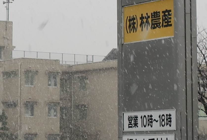 大雪