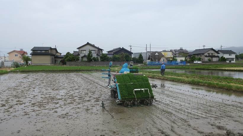 カグラモチ