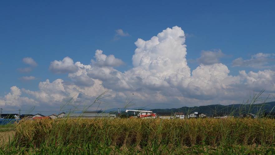 入道雲