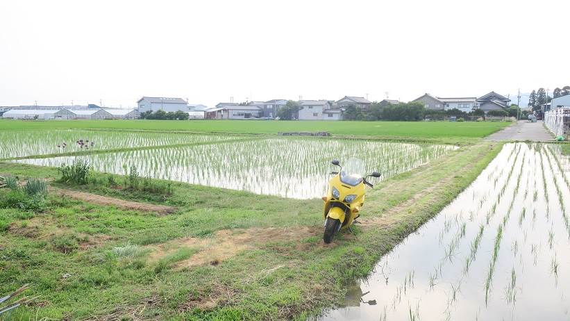 水回り