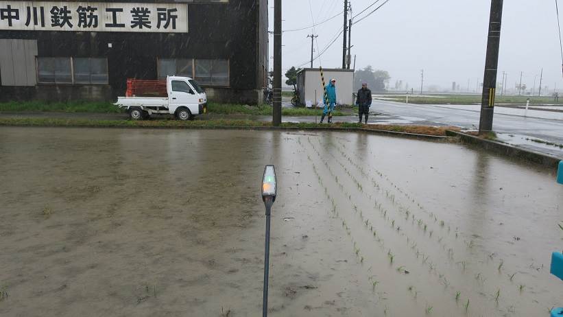 田植え