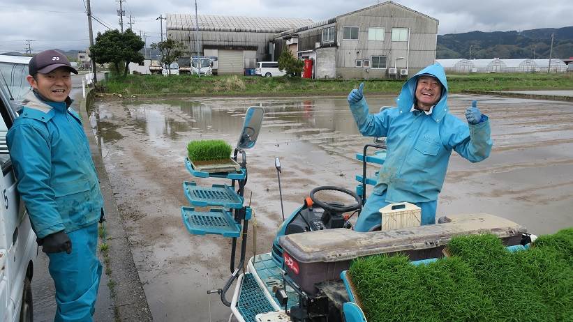 田植え