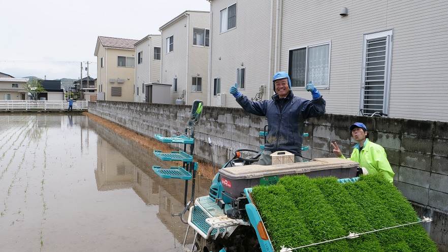 田植え