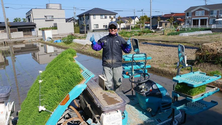 田植え