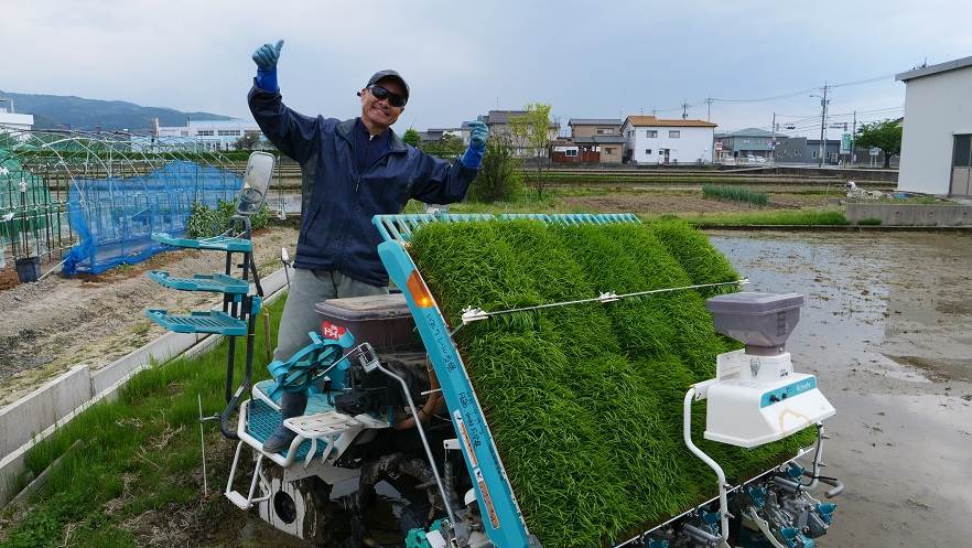 田植え