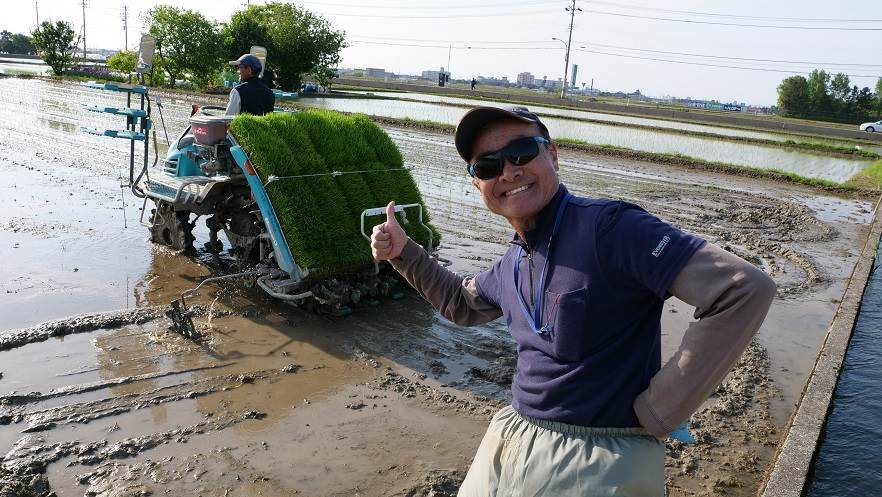 田植え