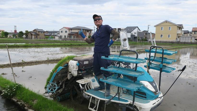 田植え