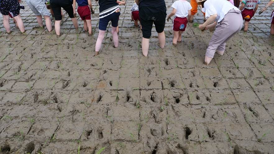 とくの＆津幡とくの幼稚園