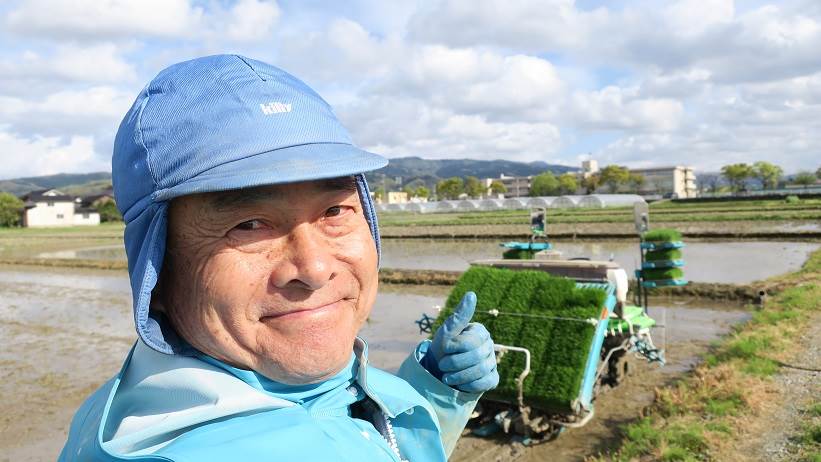 田植え