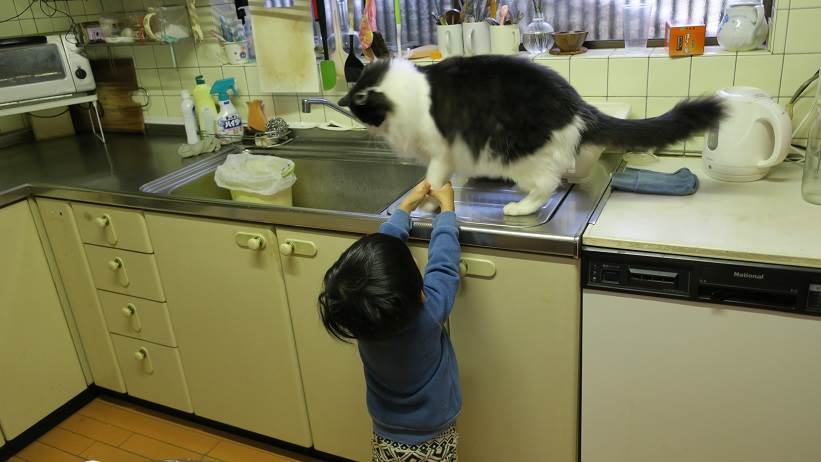 千晴くんとのどかちゃん