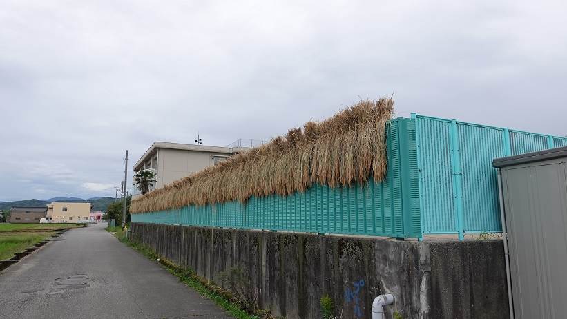 富陽小学校