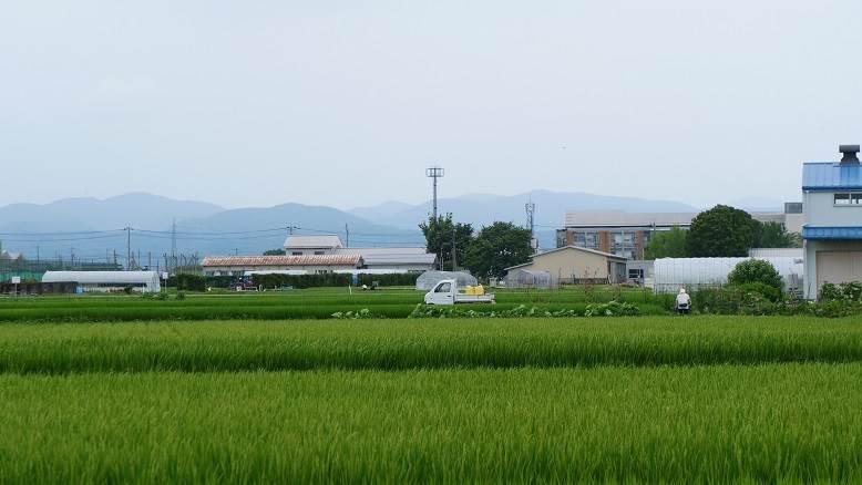 除草剤散布