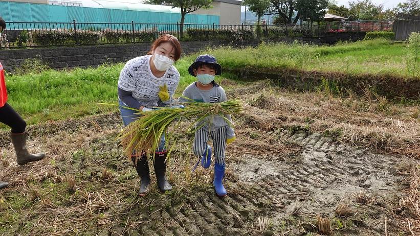 白銀幼稚園