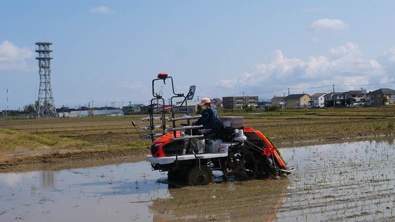 田植え